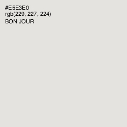 #E5E3E0 - Bon Jour Color Image